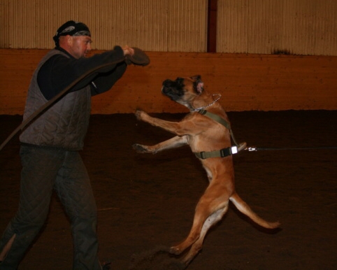 Training in Estonia 12/2006