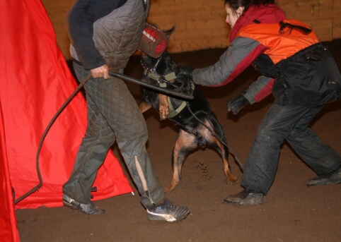 Training in Estonia 12/2006