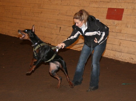 Training in Estonia 12/2006