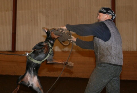 Training in Estonia 12/2006