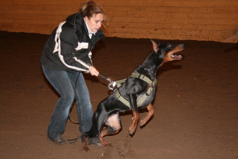 Training in Estonia 12/2006