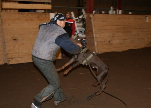 Training in Estonia 12/2006