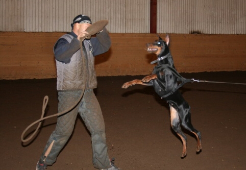 Training in Estonia 12/2006