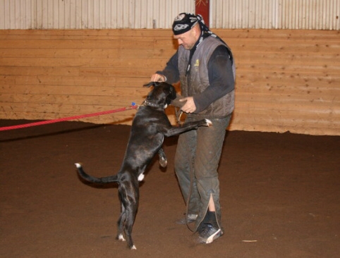 Training in Estonia 12/2006