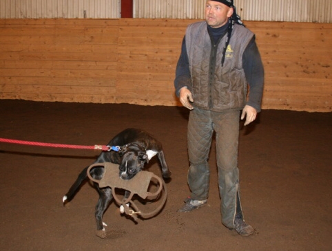 Training in Estonia 12/2006