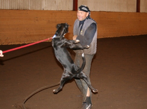 Training in Estonia 12/2006