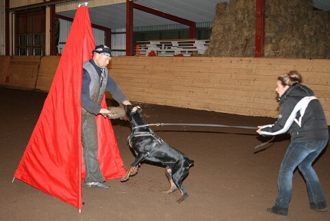 Training in Estonia 12/2006