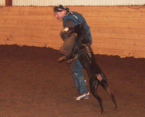 Training in Estonia 2/2007