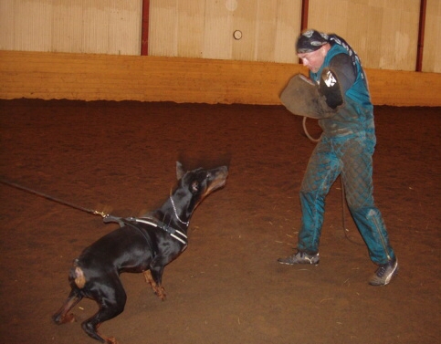 Training in Estonia 2/2007