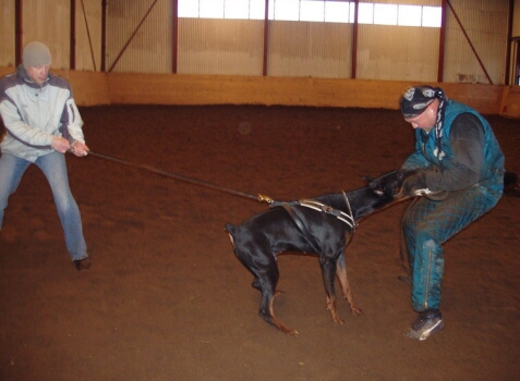 Training in Estonia 2/2007