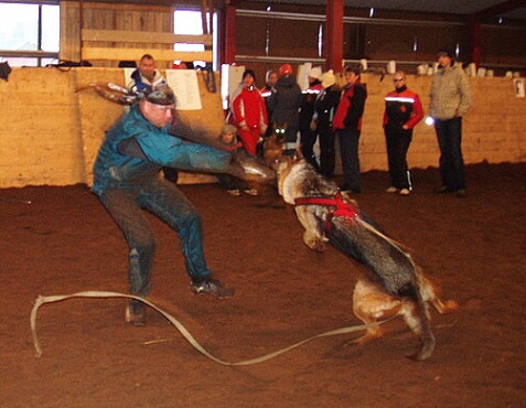 Training in Estonia 2/2007