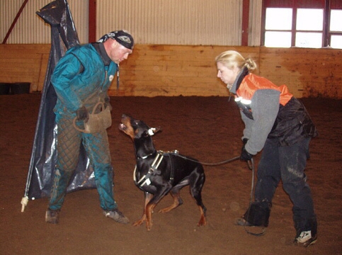 Training in Estonia 2/2007