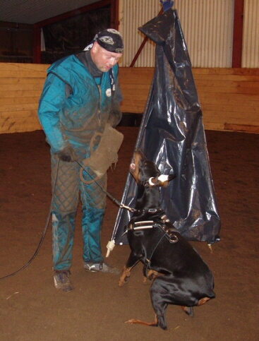 Training in Estonia 2/2007