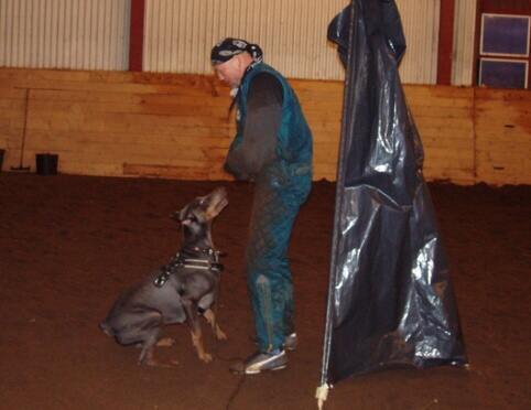 Training in Estonia 2/2007