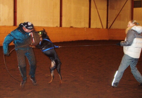 Training in Estonia 2/2007