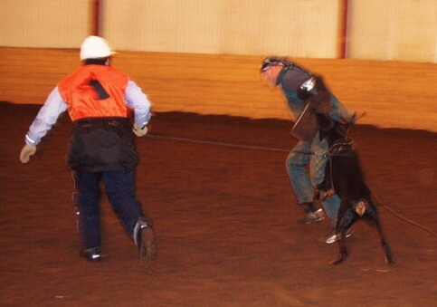 Training in Estonia 2/2007