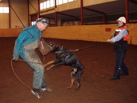 Training in Estonia 2/2007