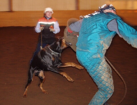 Training in Estonia 2/2007