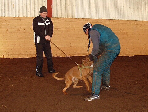 Training in Estonia 2/2007