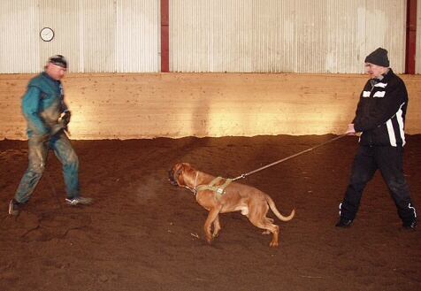 Training in Estonia 2/2007