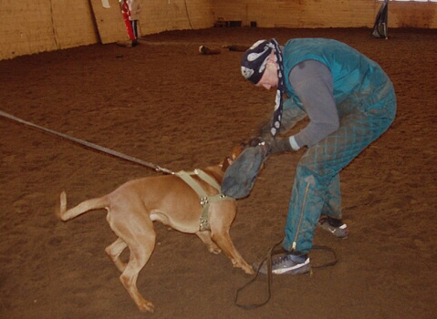 Training in Estonia 2/2007