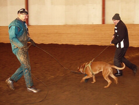 Training in Estonia 2/2007