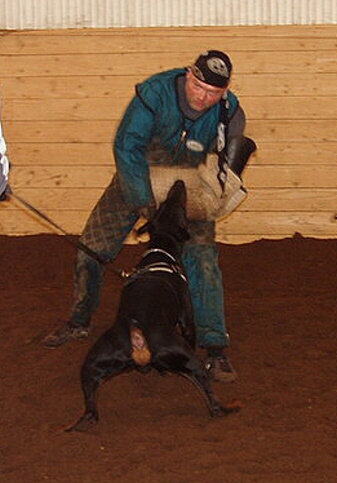 Training in Estonia 2/2007