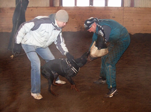 Training in Estonia 2/2007