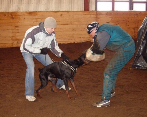 Training in Estonia 2/2007