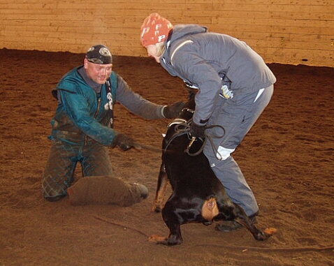 Training in Estonia 2/2007