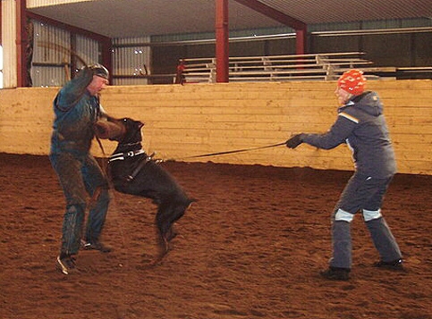 Training in Estonia 2/2007