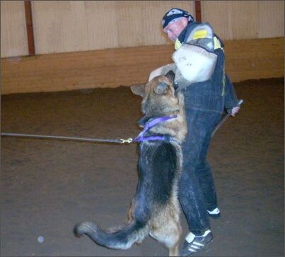 Training in Estonia 1/2008