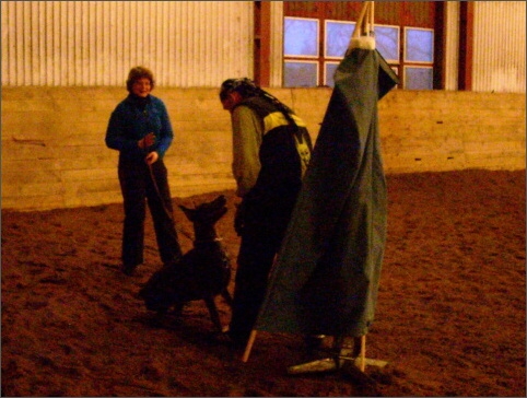 Training in Estonia 1/2008