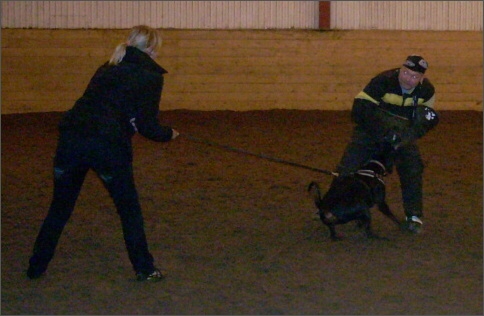 Training in Estonia 1/2008