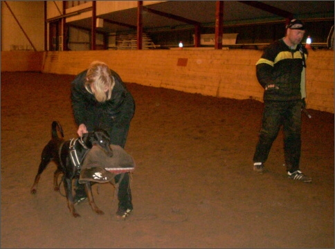 Training in Estonia 1/2008