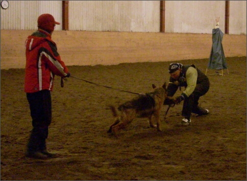 Training in Estonia 1/2008