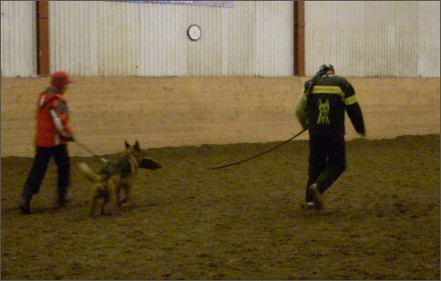 Training in Estonia 1/2008