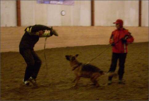 Training in Estonia 1/2008