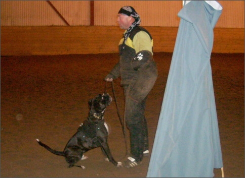 Training in Estonia 1/2008