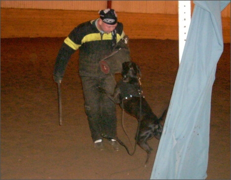 Training in Estonia 1/2008