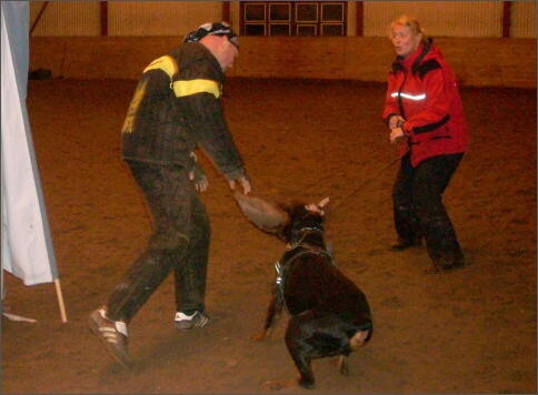 Training in Estonia 1/2008