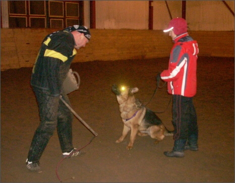 Training in Estonia 1/2008