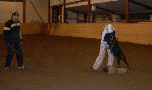 Training in Estonia 1/2008