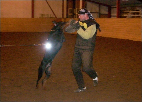 Training in Estonia 1/2008