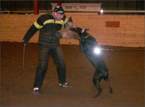 Training in Estonia 1/2008