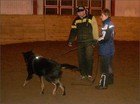 Training in Estonia 1/2008