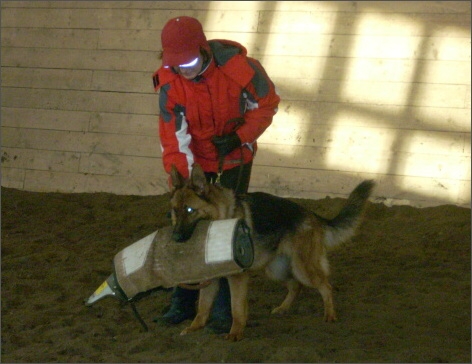 Training in Estonia 1/2008