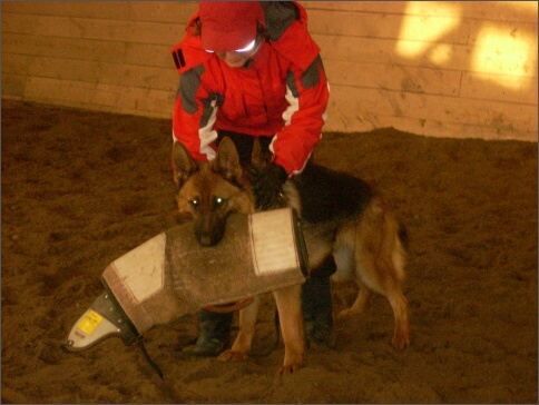 Training in Estonia 1/2008