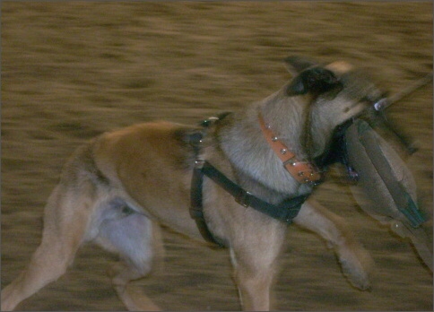 Training in Estonia 1/2008