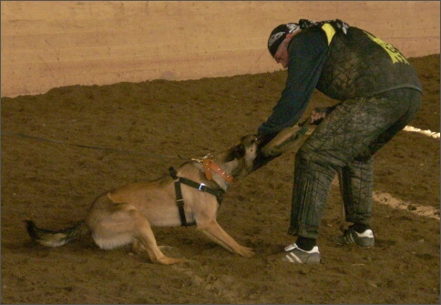 Training in Estonia 1/2008